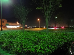 DSC01046.JPG